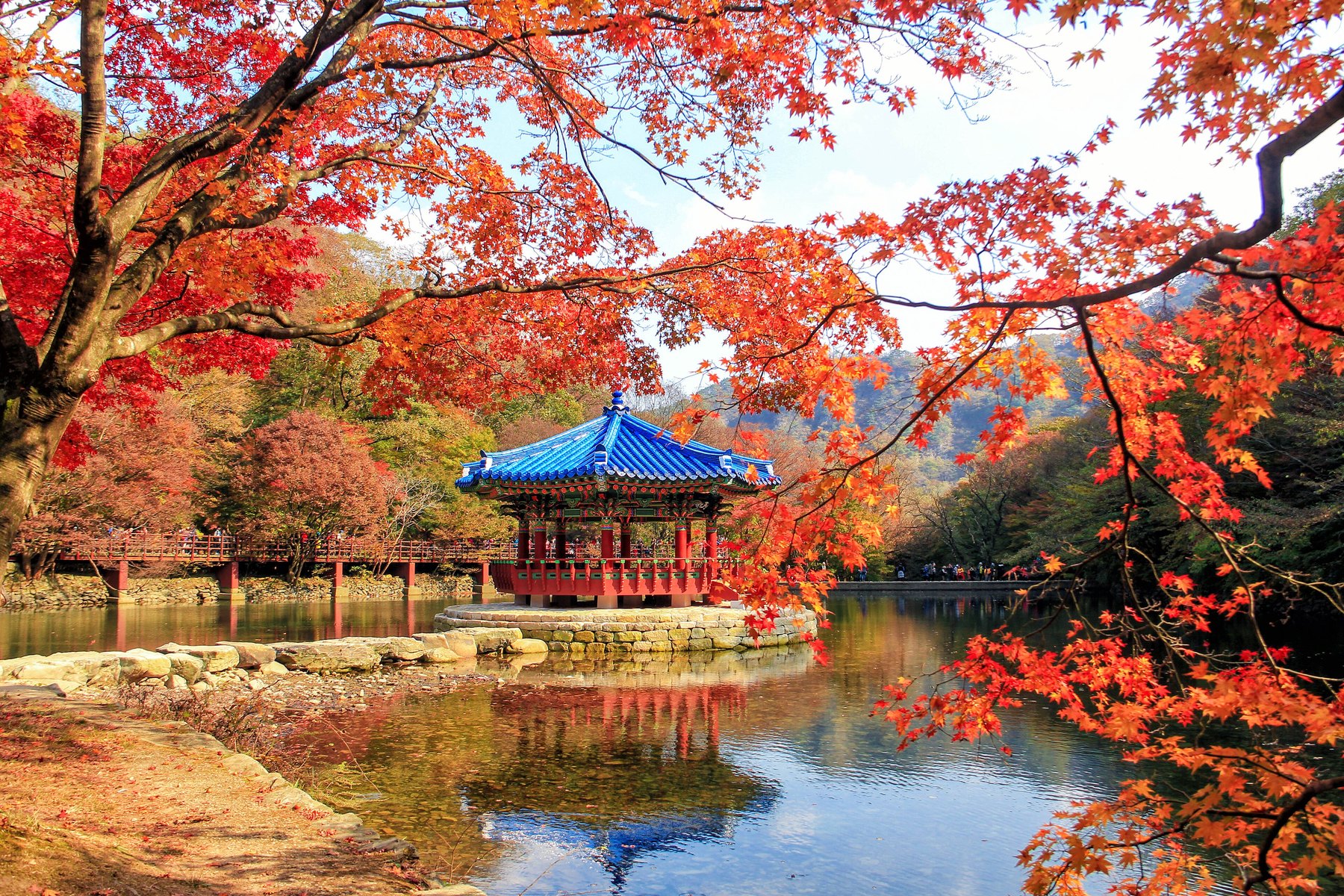 Uhwajeong pavilion on a pond in Naejangsan National Park, surrounded by red maples in autumn