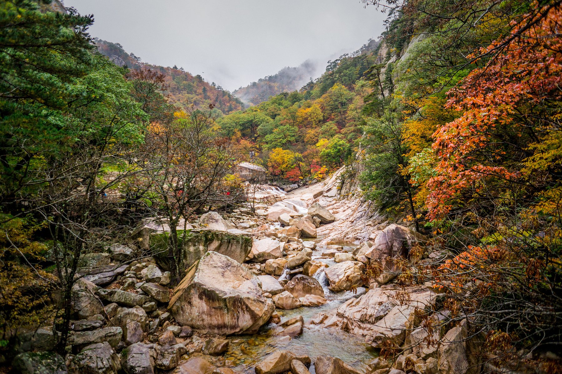 Rocky stream valley in Seoraksan with red and yellow autumn trees on both sides