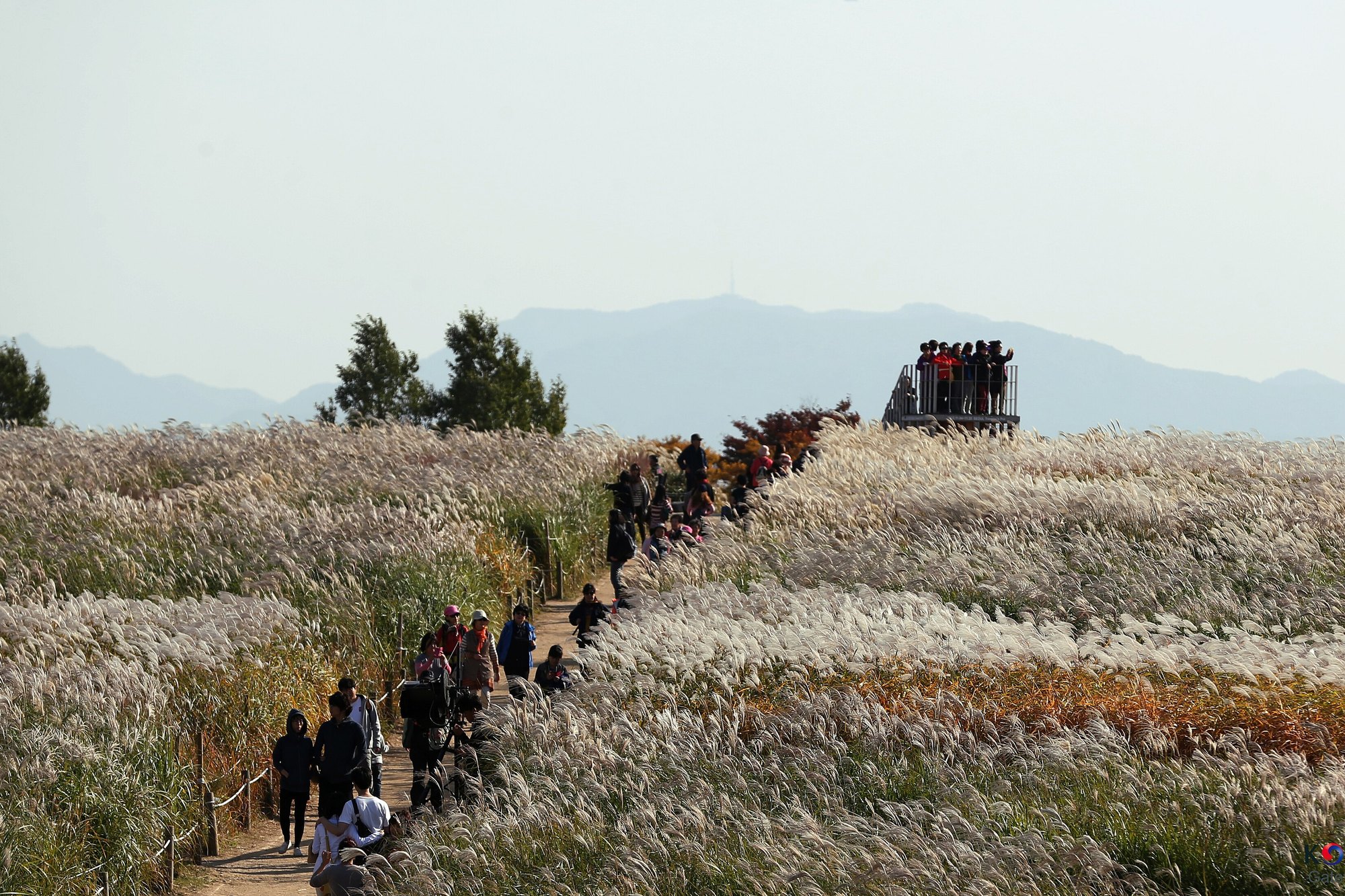 Visitors walking a narrow path through a hilltop field of silver grass at Haneul Park in Seoul, with a small viewing deck and mountains behind