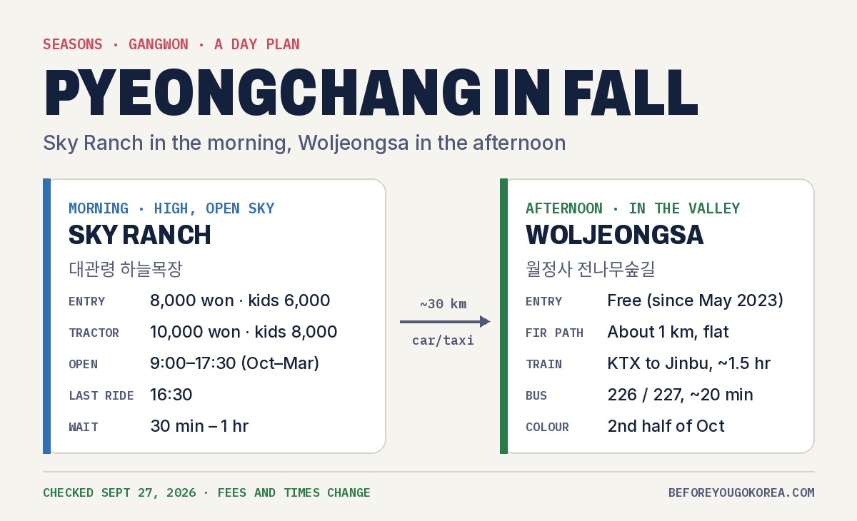 Day plan card: Sky Ranch in the morning, 8,000 won entry and 10,000 won tractor, open 9:00 to 17:30 from October, last tractor 16:30, wait 30 minutes to an hour; about 30 km by car or taxi to Woljeongsa in the afternoon, free entry, 1 km fir path, KTX to Jinbu about 1.5 hours, bus 226 or 227 about 20 minutes, colour in the second half of October