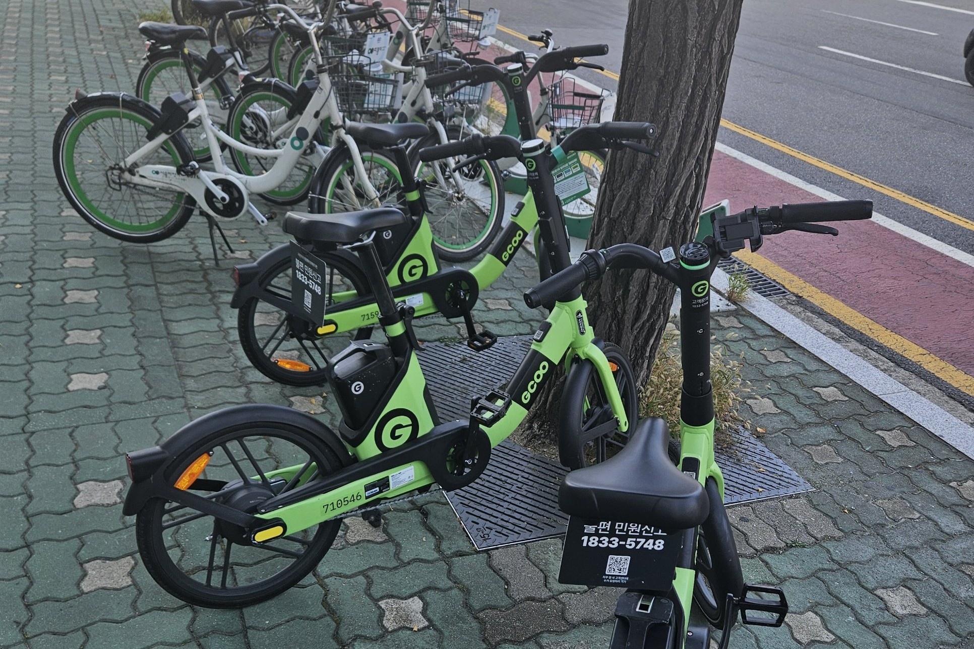 Lime-green GCOO e-bikes parked on a sidewalk in front of a row of white and green Ttareungyi bikes