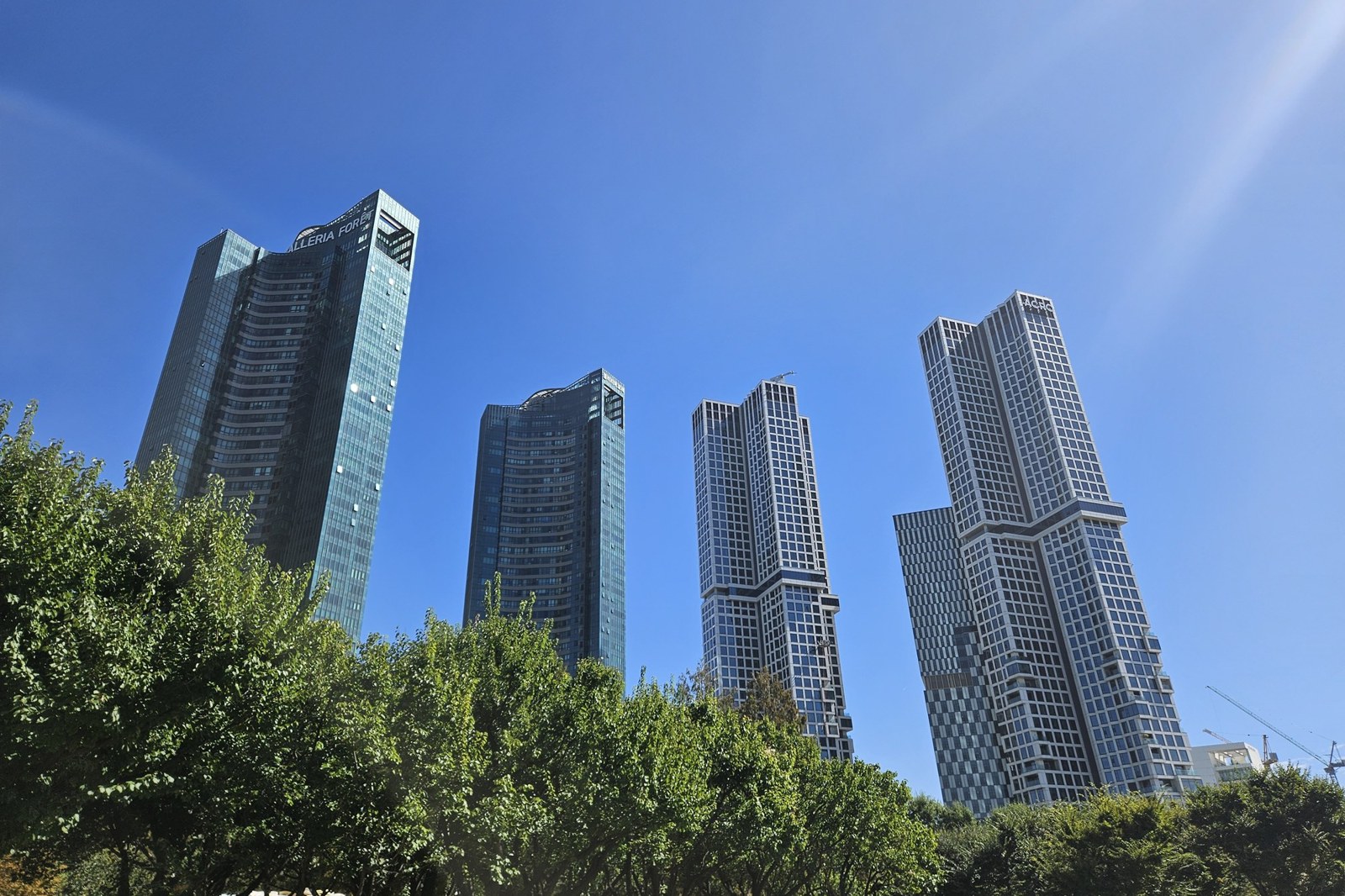 High-rise apartment towers rising behind the trees at the edge of Seoul Forest on a clear day