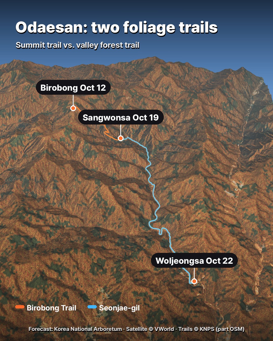 3D map of Odaesan National Park showing the Birobong summit trail and the Seonjae-gil valley trail with forecast peak foliage dates