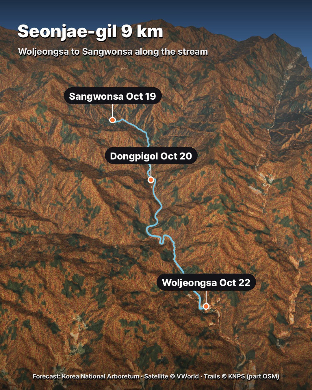 3D map of Seonjae-gil trail from Woljeongsa temple past Dongpigol to Sangwonsa temple along the stream, with forecast peak dates