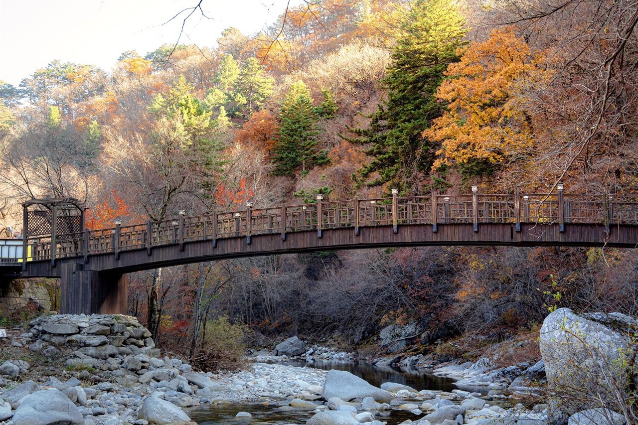 A wooden footbridge over a rocky stream on Seonjae-gil with autumn trees on the slopes