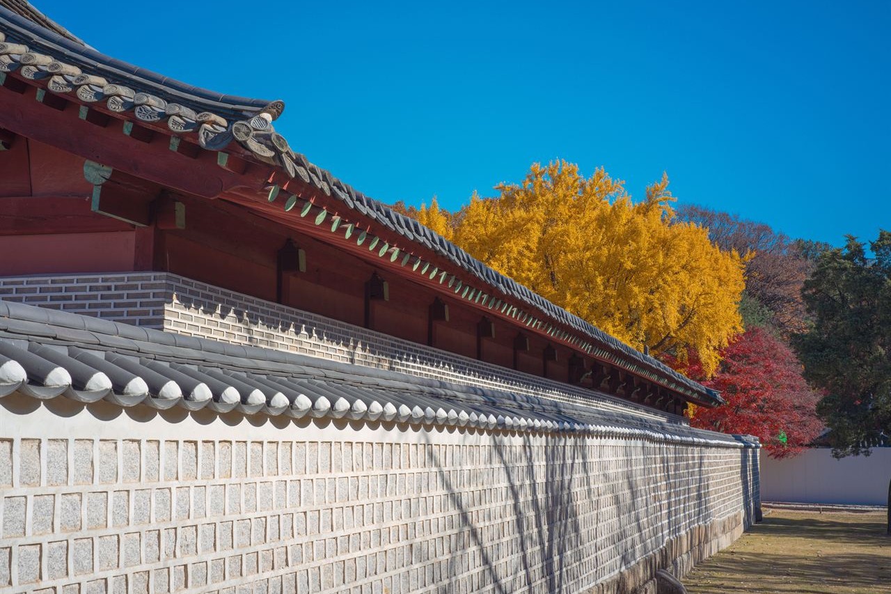 Ginkgo trees turning yellow beside the long roof of Jongmyo Shrine