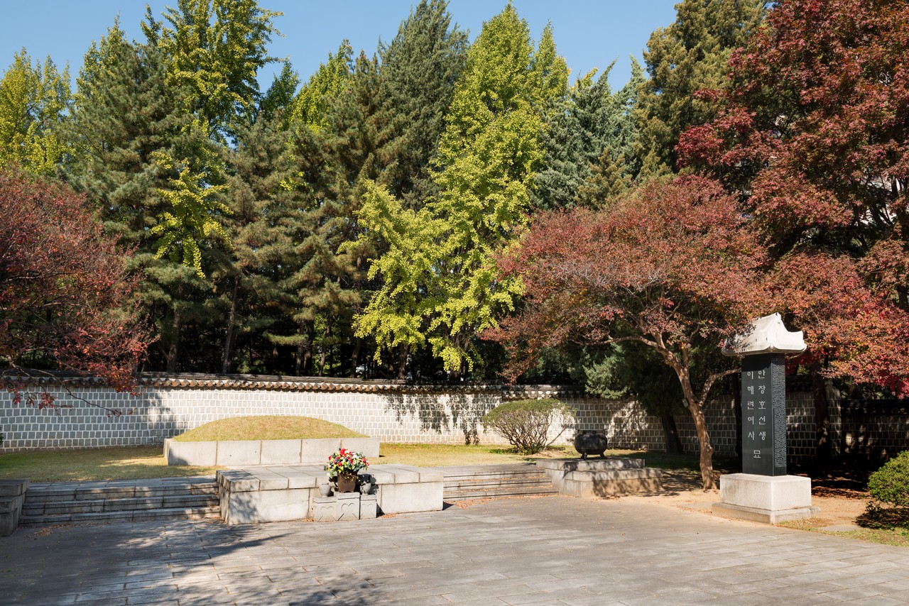 Autumn trees in red, yellow and green around the memorial area of Dosan Park in Gangnam, under a blue sky