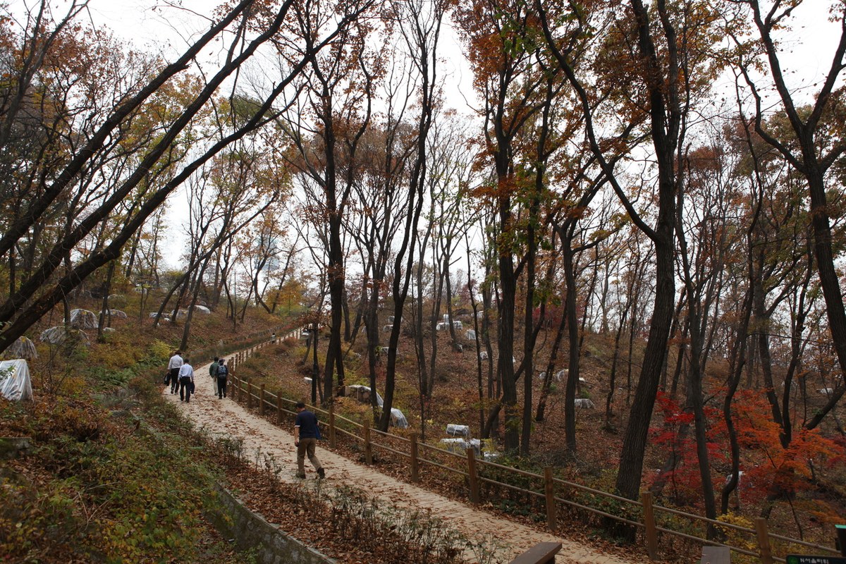 Walkers on a dirt path beside a wooden fence in Namsan forest with red and orange autumn leaves