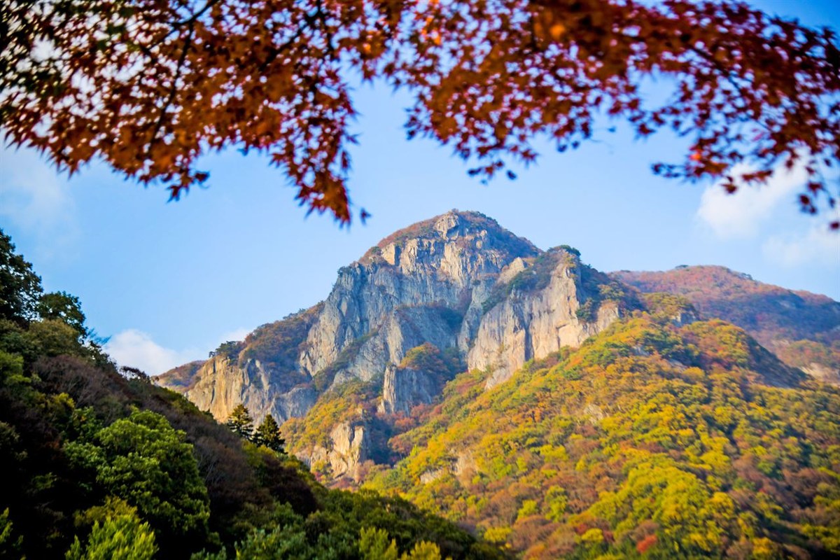 A grey rocky peak of Naejangsan seen through red maple leaves in the foreground, with yellow and green slopes below