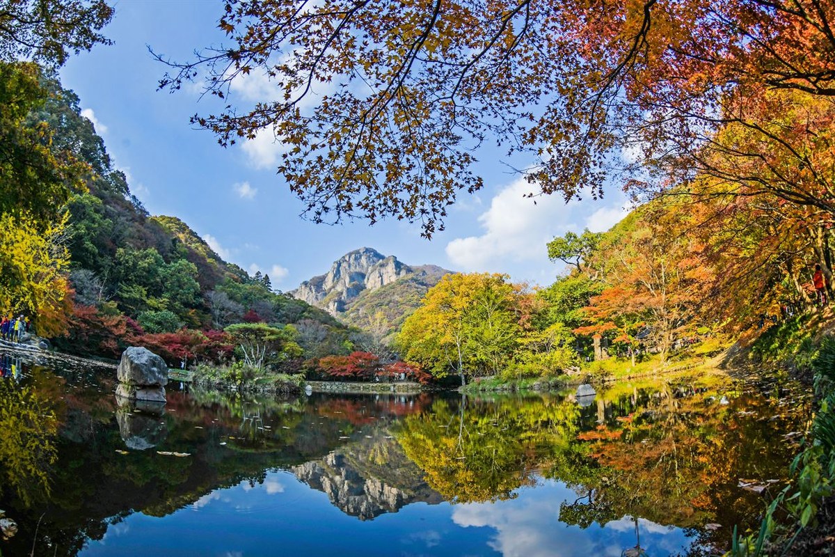 Maples in orange and yellow reflected in a still pond, with a grey rocky peak and blue sky behind