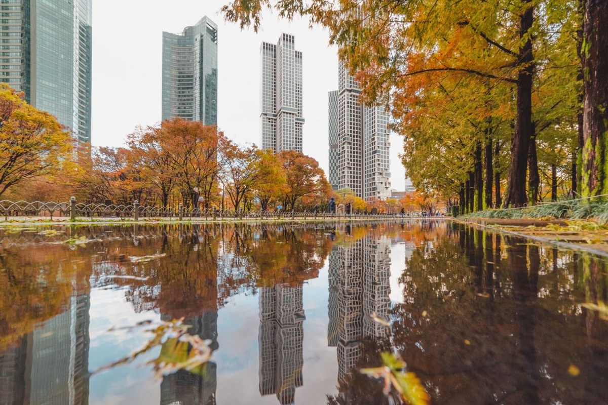 Autumn trees in orange and yellow reflected in a still pond at Seoul Forest with tall apartment towers behind