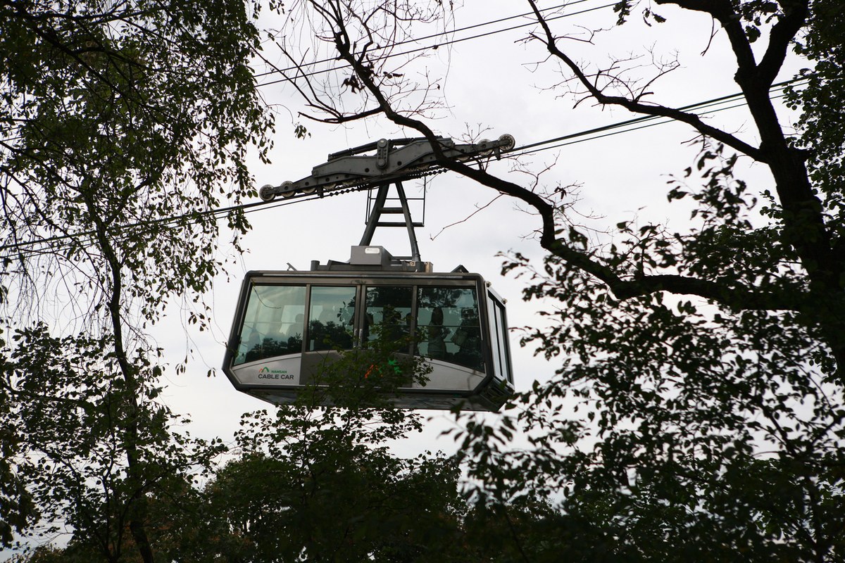 A Namsan Cable Car cabin hanging from the cable between trees on the slope of Namsan