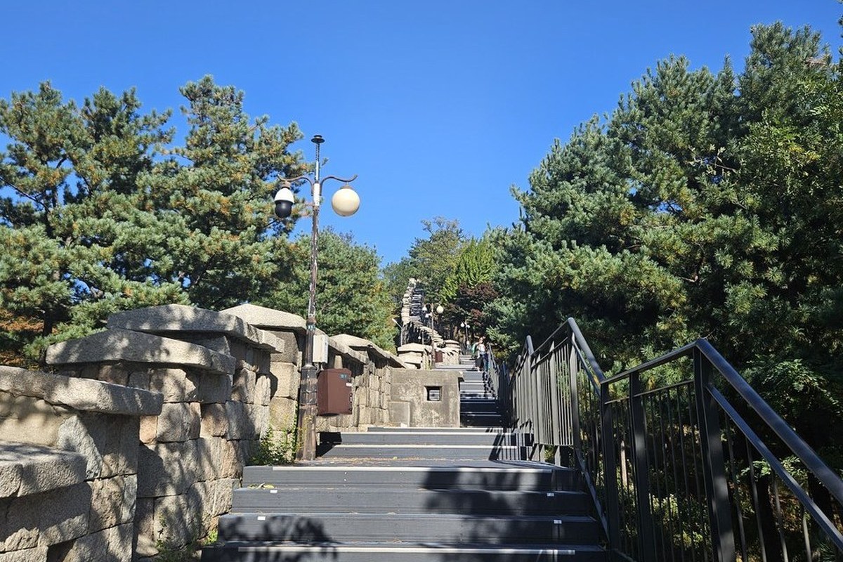 A flight of dark steps beside a stone fortress wall under pine trees on Bugaksan with a black metal railing on the right