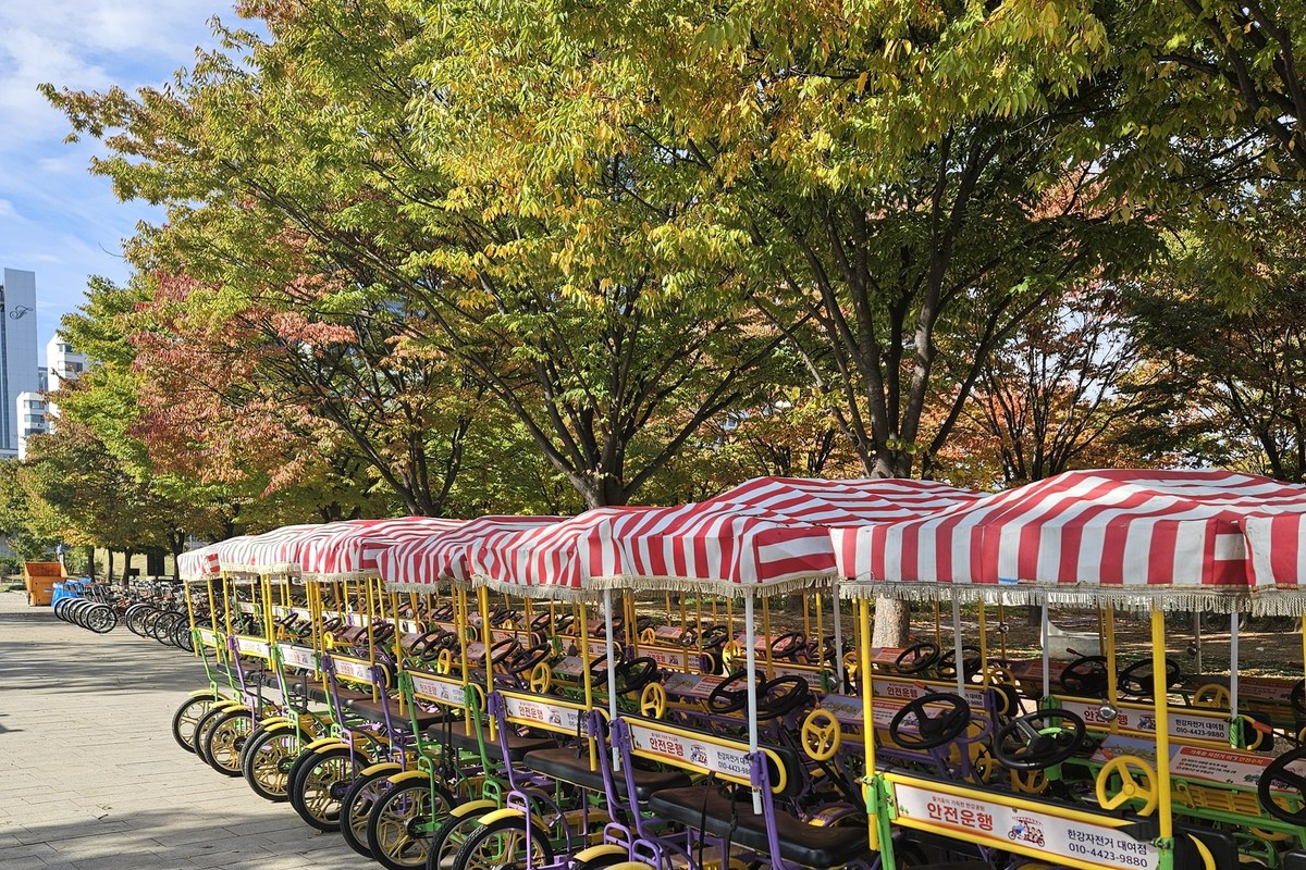 Row of four-seat family pedal bikes with red and white striped roofs parked on a paved path under autumn trees